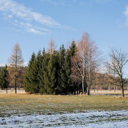Alicjowka - Domek Marciszow Exteriér fotografie