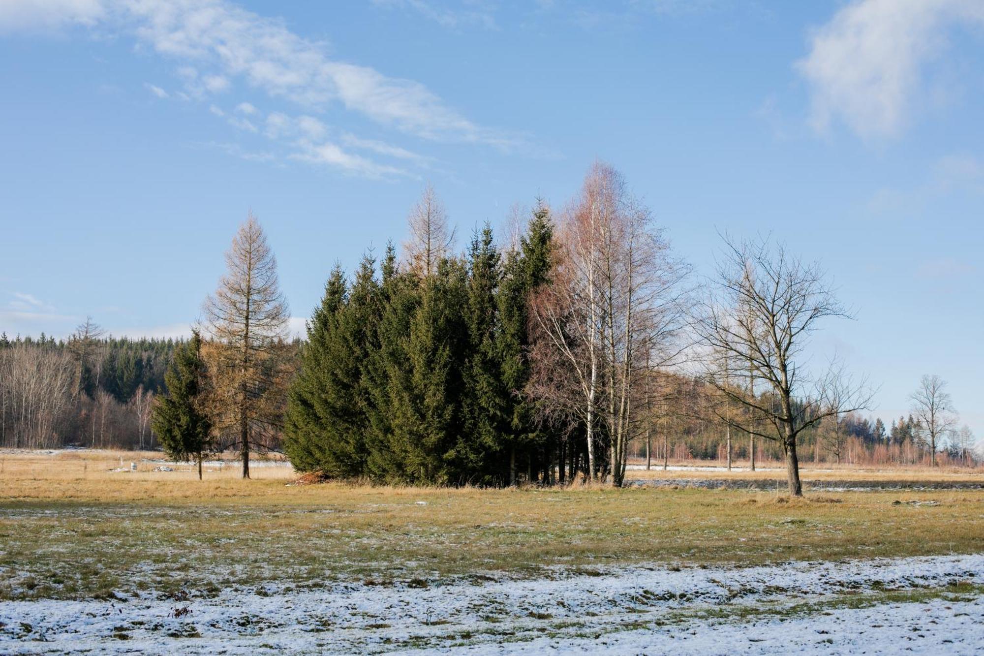 Alicjowka - Domek Marciszow Exteriér fotografie